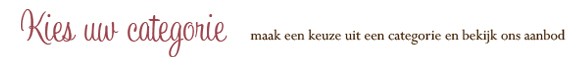buitengewoonmooi-home02.jpg